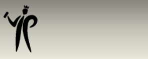 NBQ Pro Slow Varnish- 400ml