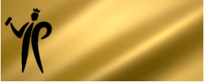 Pinty Plus Basic Metallic Gloss Paint -400ml