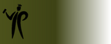 Montana Gold Transparent -400ml