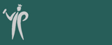 Pinty Plus Tech Forge Paint -400ml
