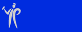 Pinty Plus Evolution Fluo Paint -400ml