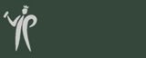 Pinty Plus Evolution Gloss -400ml
