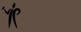 Pinty Plus Evolution Gloss -400ml