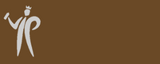 Pinty Plus Basic Gloss Paint -400ml