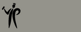 Pinty Plus Evolution Gloss -400ml