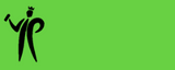 Pinty Plus Basic Gloss Paint -400ml