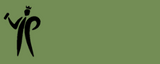 Pinty Plus Basic Gloss Paint -400ml
