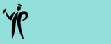 Pinty Plus Basic Gloss Paint -400ml